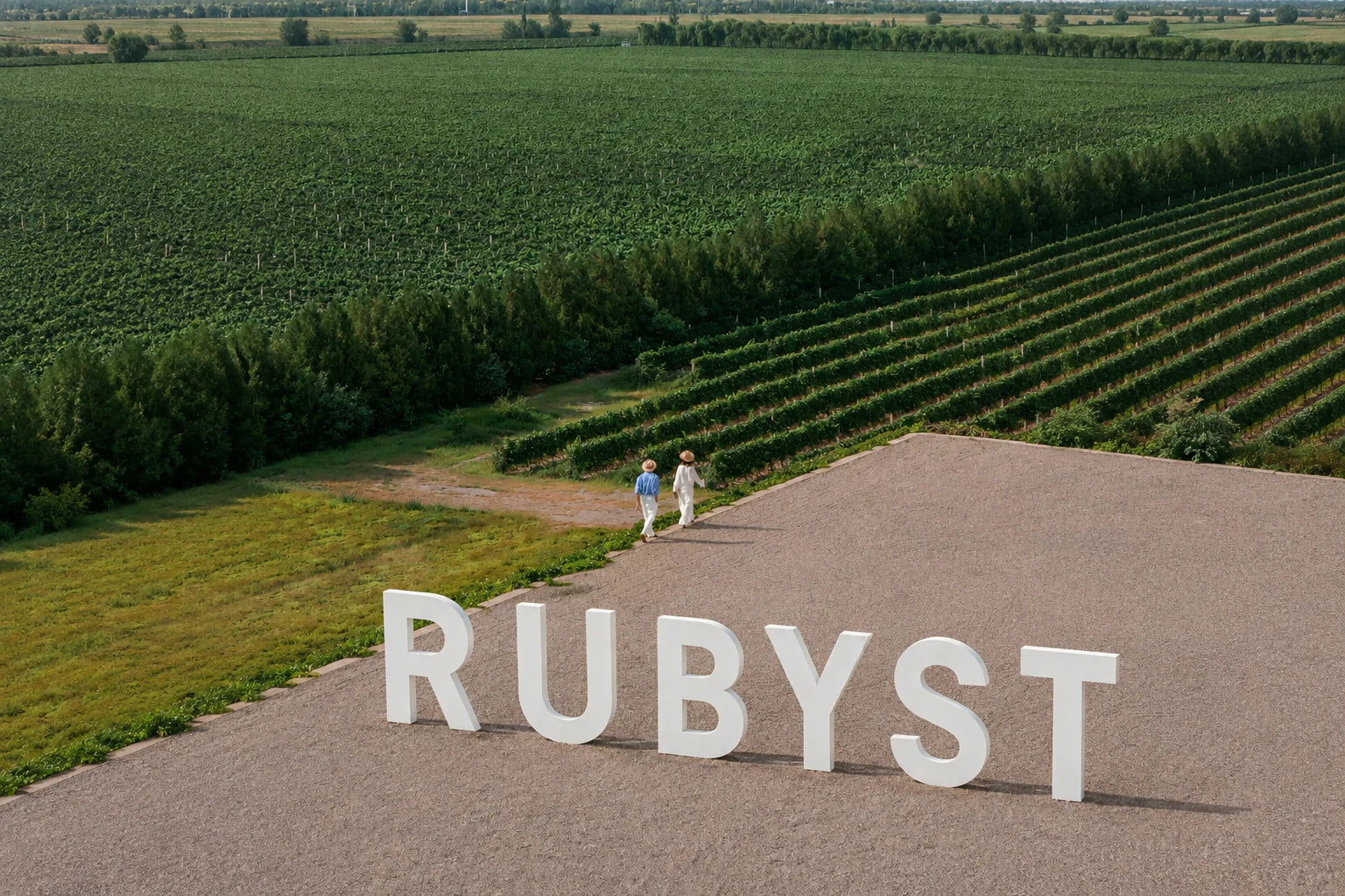 RUBYST growing base and cultivated fields in Ningxia