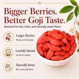 RUBYST dried goji berry selection guide