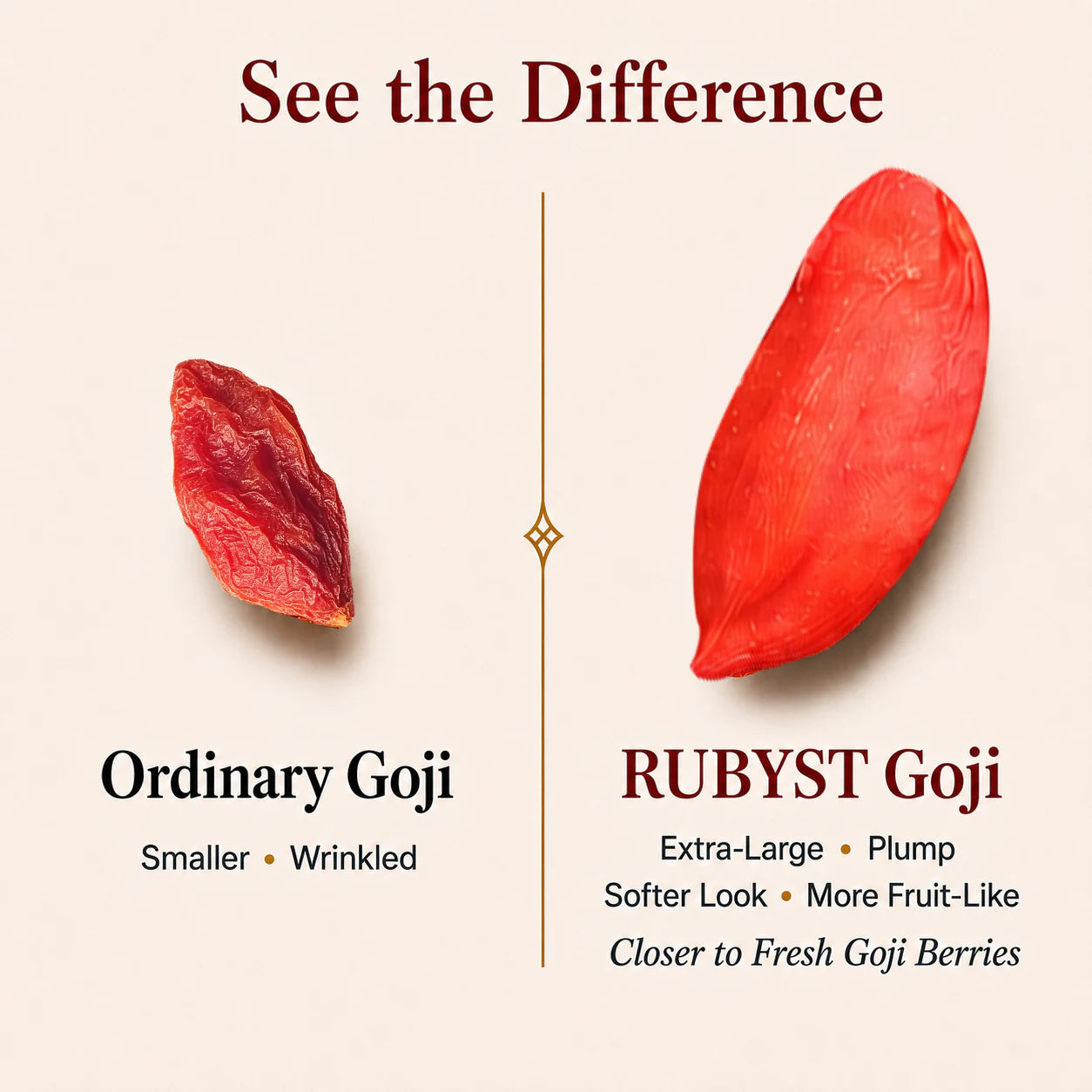 RUBYST Goji compared with ordinary goji berries